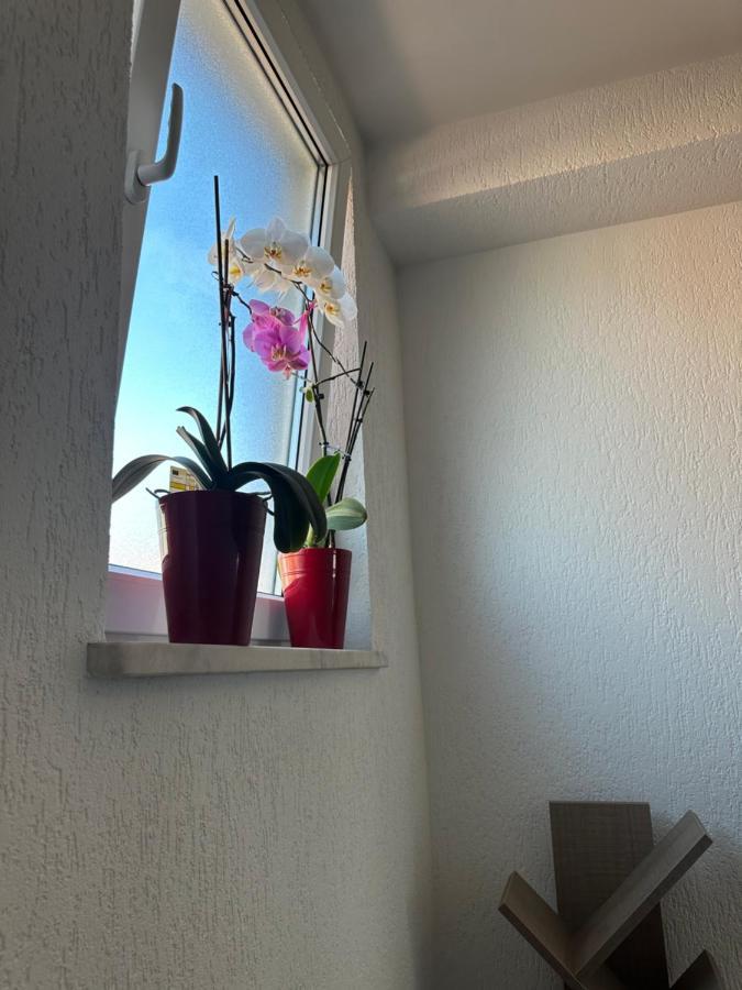 Spacious 3-Bedroom Condo Next To City Center Pristina Exteriör bild